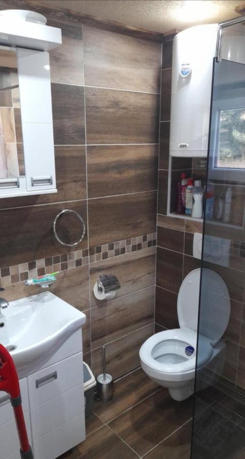 Apartmani Milosavljevic Divčibare Εξωτερικό φωτογραφία